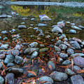 Autumn Morning Reflection
