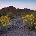 Red Mountain Dusk